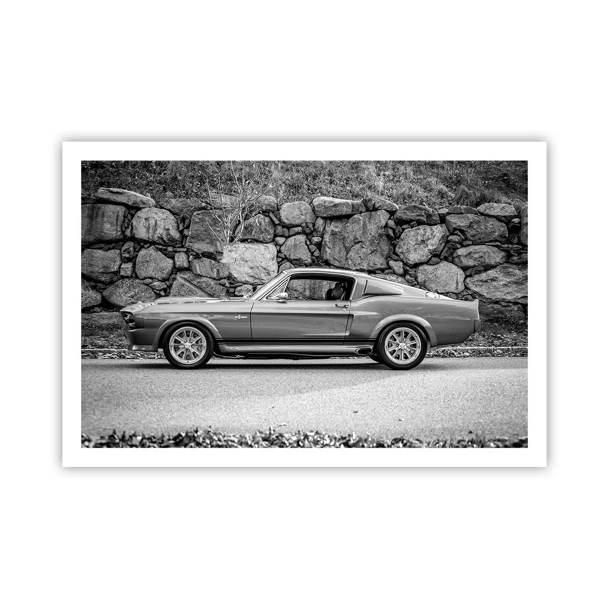 Poster - Die Legende der 1960er - 91x61 cm