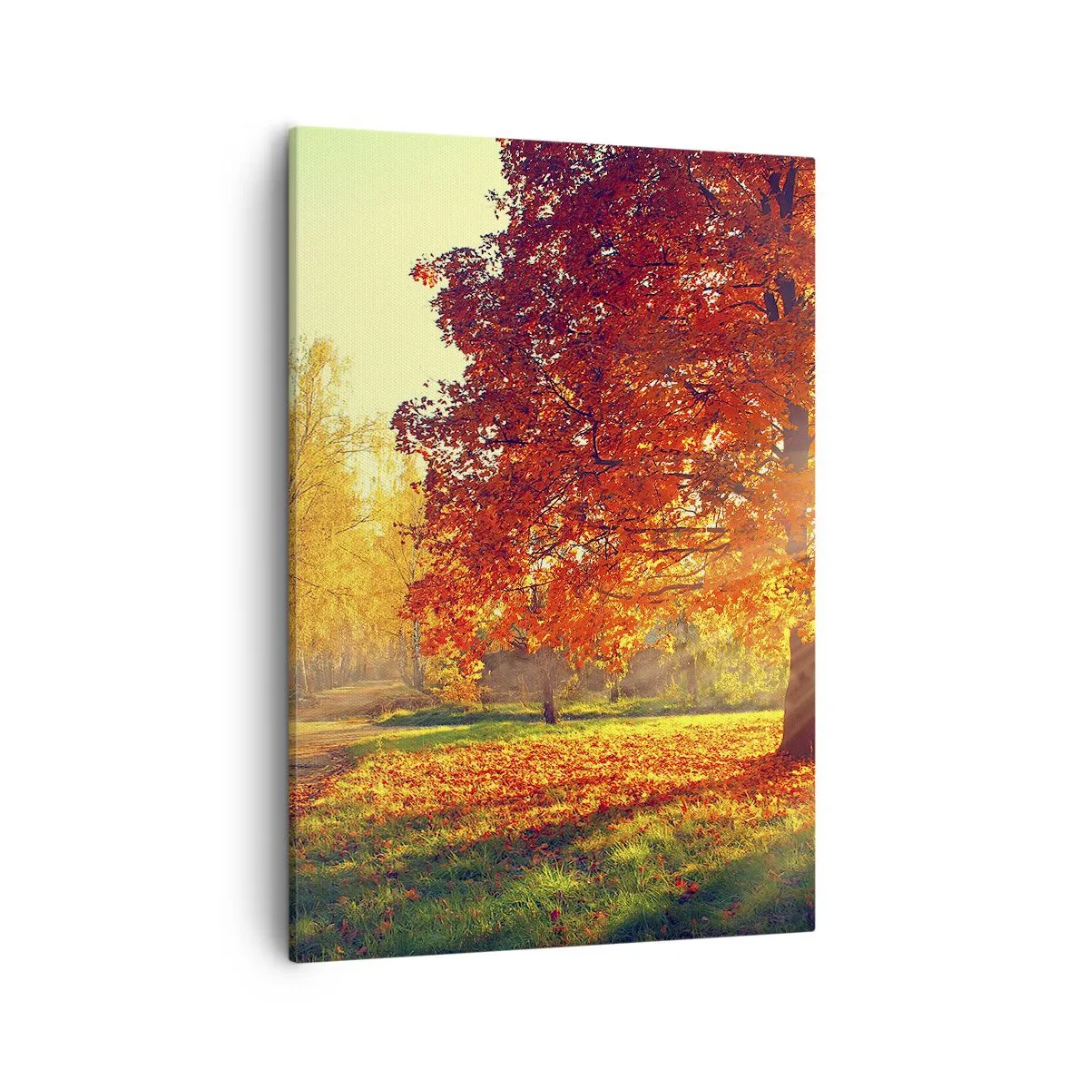 Bild auf Leinwand - Leinwandbild - Herbstpark im Sonnenlicht - 50x70cm - Unhöflich ist schön - Moderne Wanddekoration für Wohnzimmer und Schlafzimmer ARTTOR