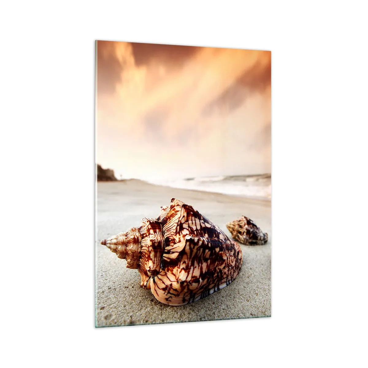 Glasbild - Bild auf glas - Muscheln am Strand bei Sonnenuntergang - 70x100cm - Ausgestoßene von Wellen - Moderne Wanddekoration für Wohnzimmer und Schlafzimmer ARTTOR