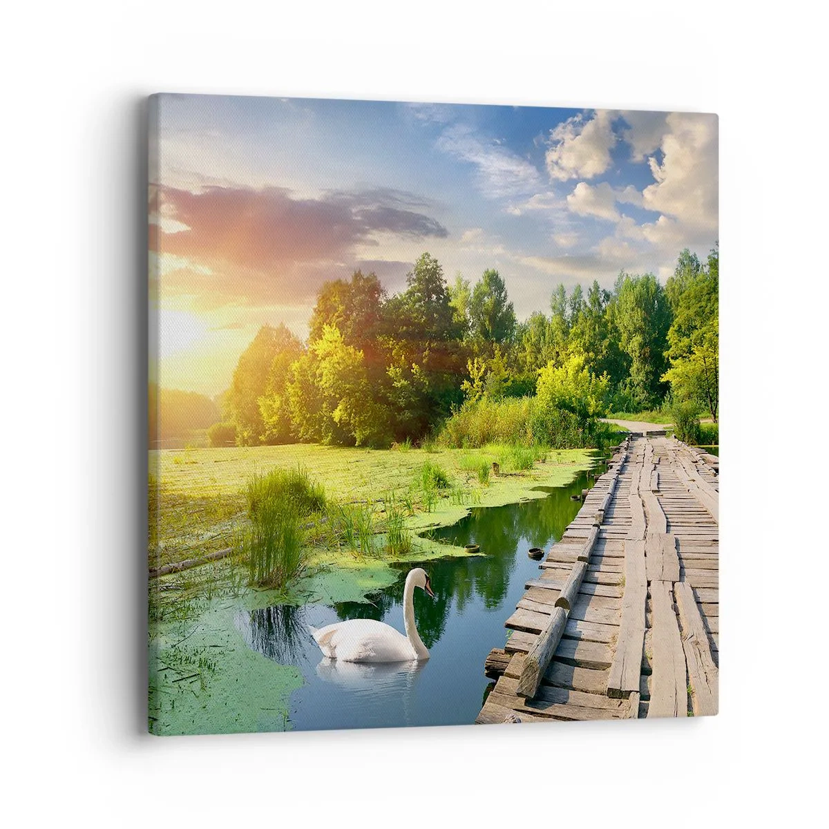 Bild auf Leinwand - Leinwandbild - Sommer, Sommer überall - 40x40 cm