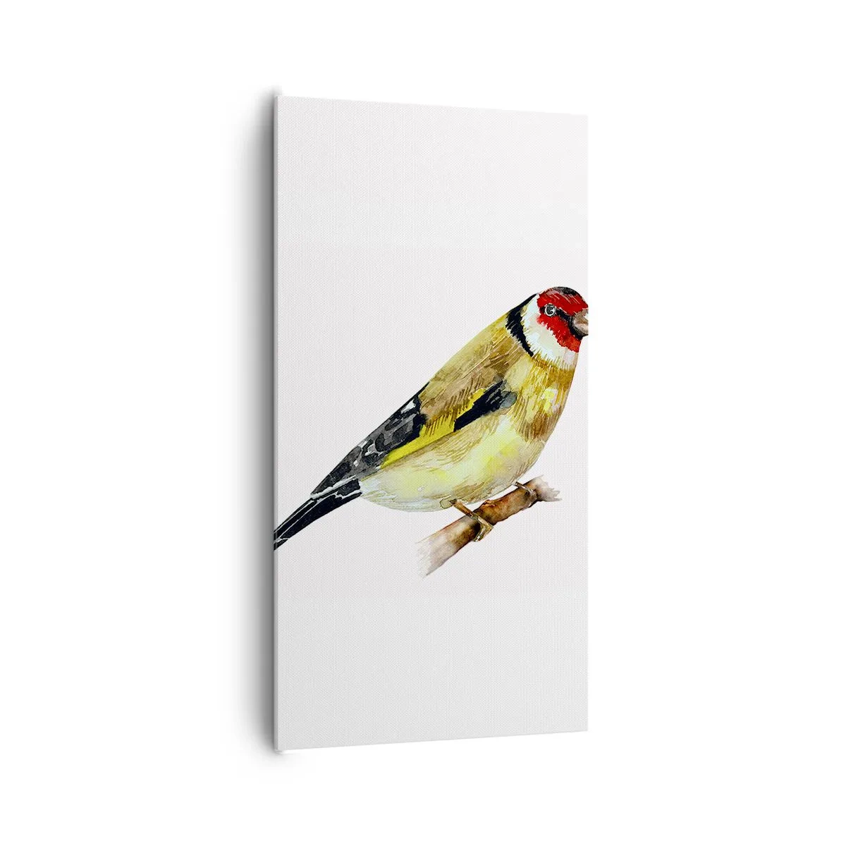 Bild auf Leinwand - Leinwandbild - Vogelporträt - 65x120 cm