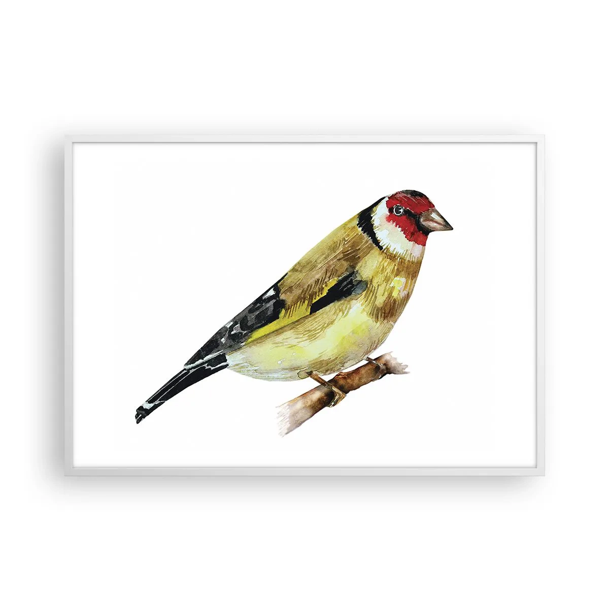 Poster in einem weißen Rahmen - Vogelporträt - 100x70 cm