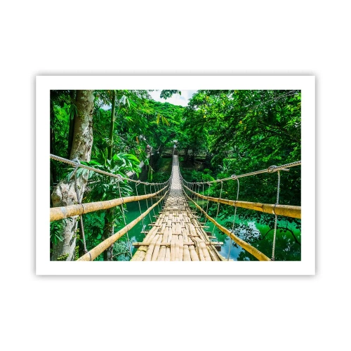 Poster - Monkey Bridge über das Grün - 70x50 cm