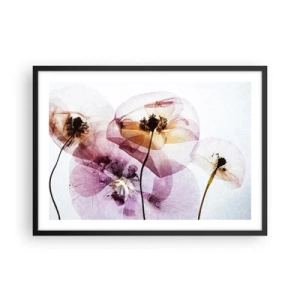 Poster in einem schwarzem Rahmen - Zarte transparente Blüten in Pastelltönen - 70x50cm - Transparente Körperblumen - Moderne Wanddekoration für Wohnzimmer und Schlafzimmer ARTTOR