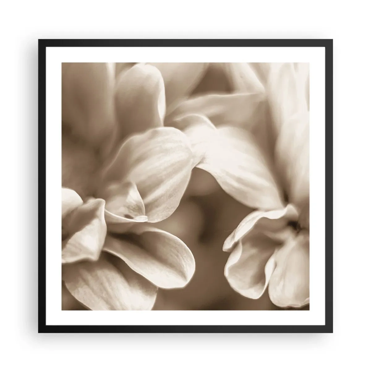 Poster in einem schwarzem Rahmen - So sanft wie ein Lächeln - 60x60 cm