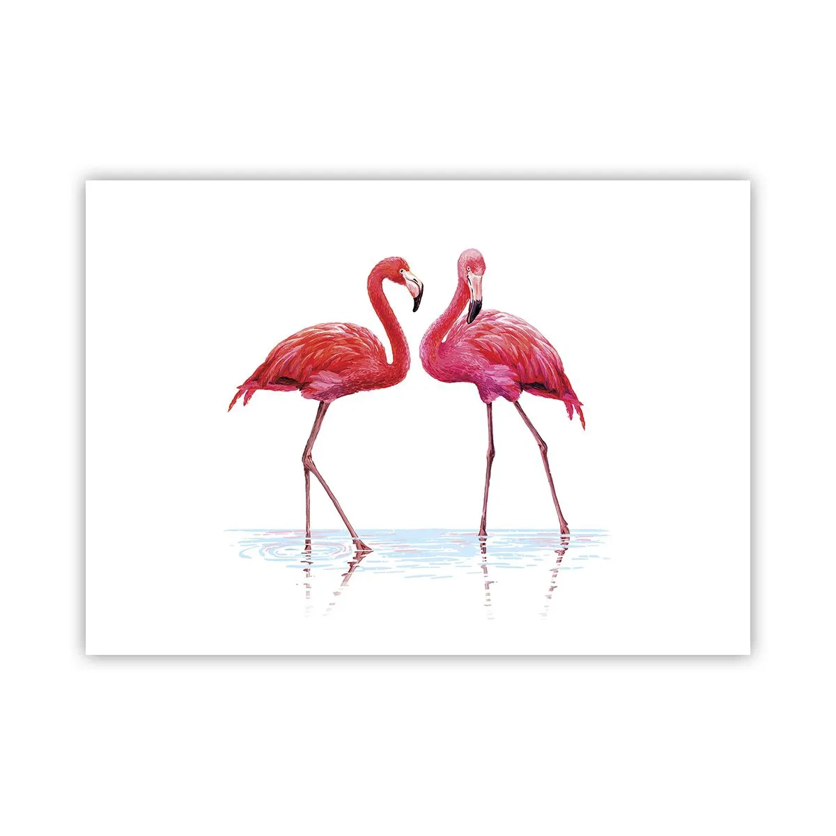 Poster - Rosa randez-vous - 70x50 cm