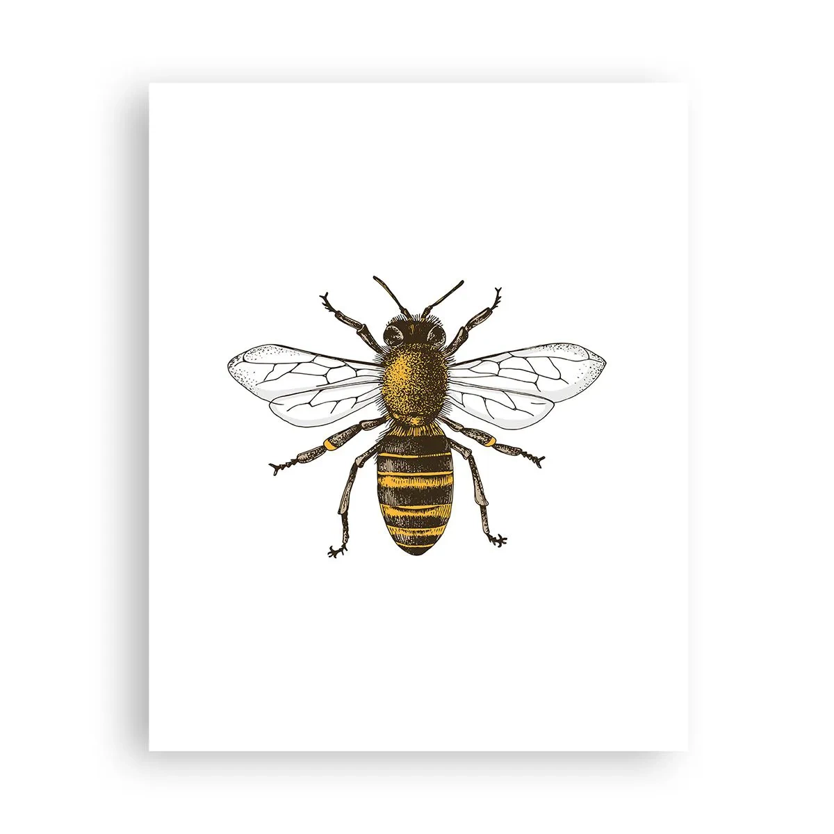 Poster - Schön und gut - 40x50 cm