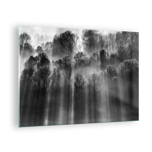 Glasbild - Bild auf glas - Schwarze und weiße Lichtstrahlen durchdringen den Wald - 70x50cm - In Lichtstrahlen - Moderne Wanddekoration für Wohnzimmer und Schlafzimmer ARTTOR