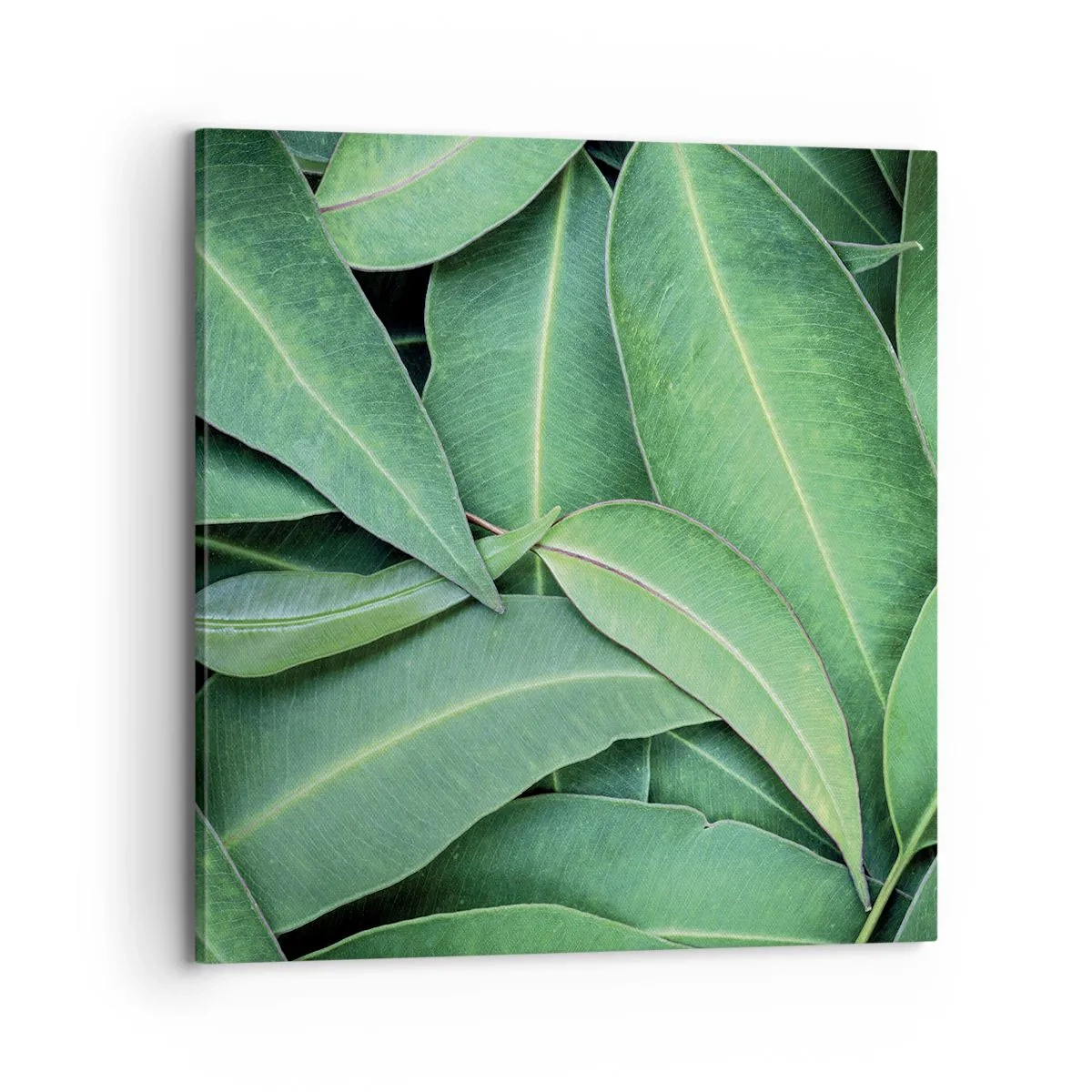 Bild auf Leinwand - Leinwandbild - Saftig und frisch - 70x70 cm