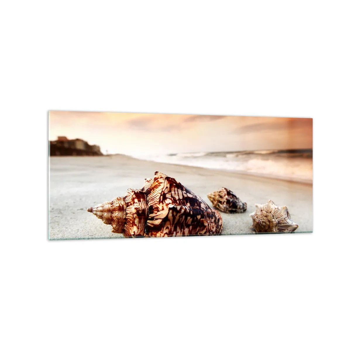 Glasbild - Bild auf glas - Muscheln am Strand bei Sonnenuntergang - 120x50cm - Ausgestoßene von Wellen - Moderne Wanddekoration für Wohnzimmer und Schlafzimmer ARTTOR