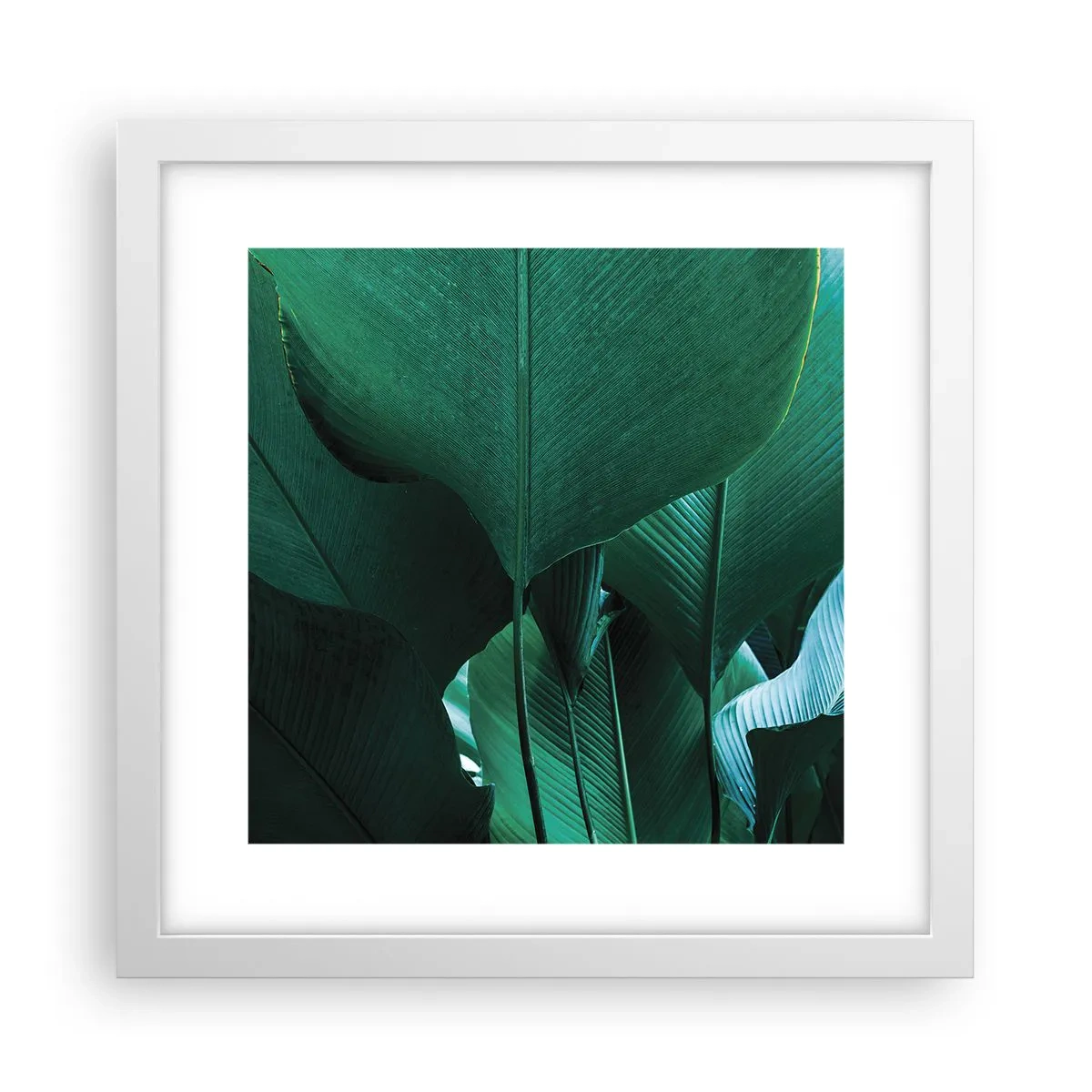 Poster in einem weißen Rahmen - Dem Licht zugewandt - 30x30 cm