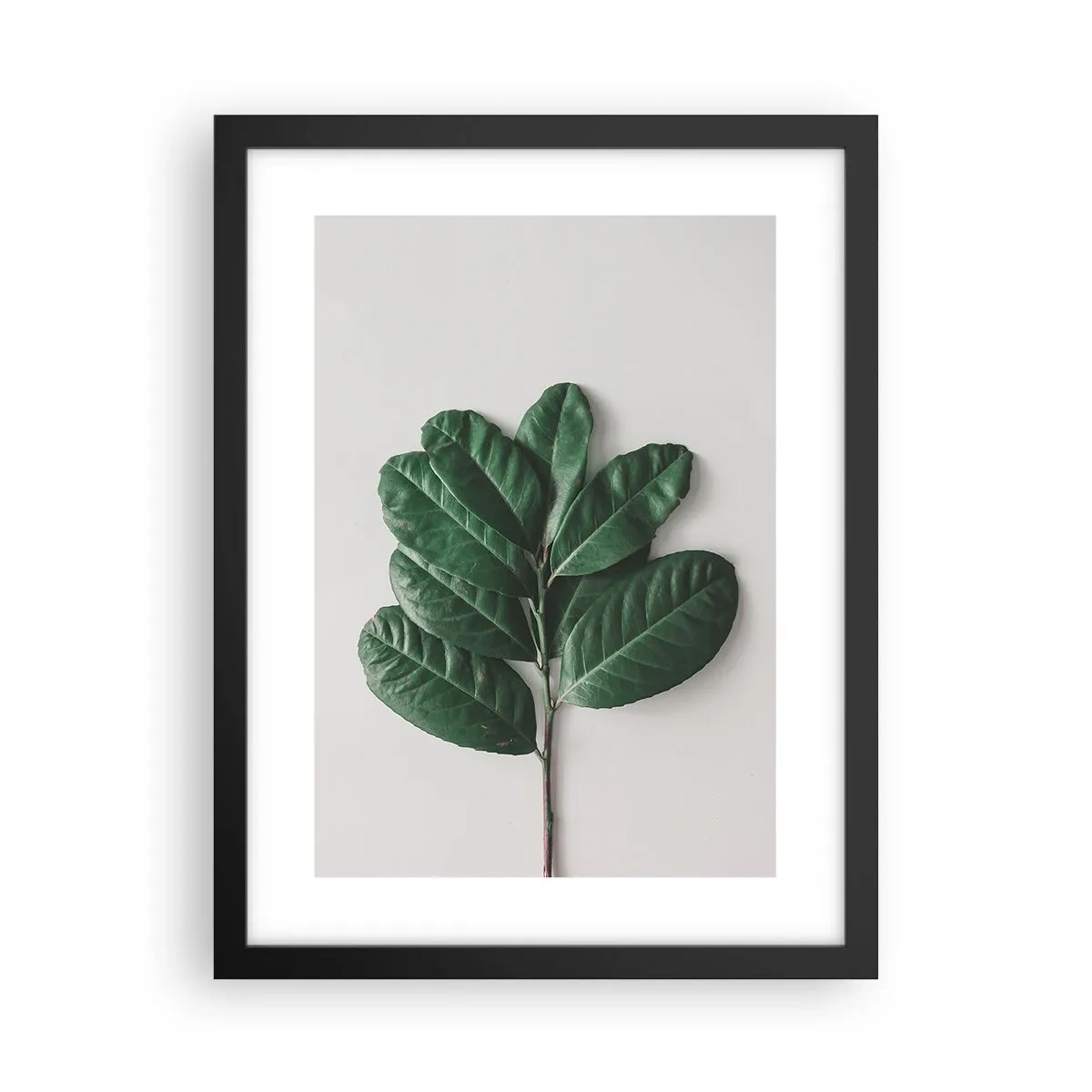 Poster in einem schwarzem Rahmen - Eine Zeichnung purer Natur - 30x40 cm