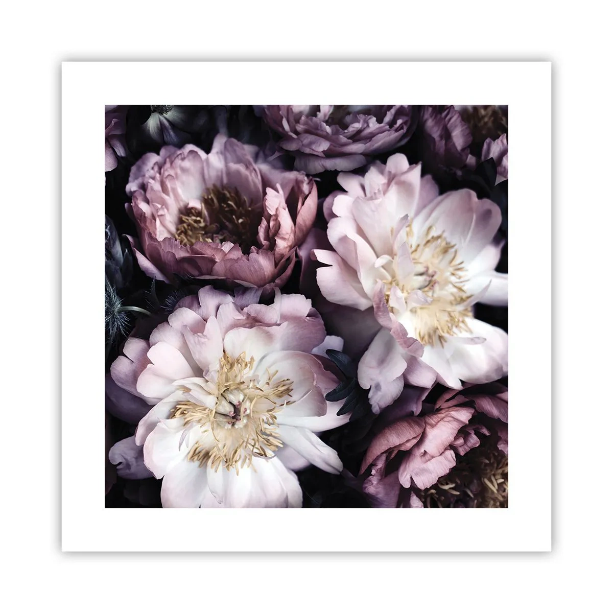 Poster - Blumenstrauß im alten Stil - 40x40 cm