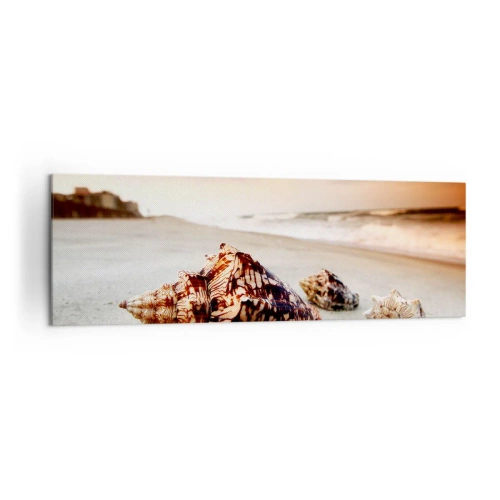 Bild auf Leinwand - Leinwandbild - Muscheln am Strand bei Sonnenuntergang - 160x50cm - Ausgestoßene von Wellen - Moderne Wanddekoration für Wohnzimmer und Schlafzimmer ARTTOR