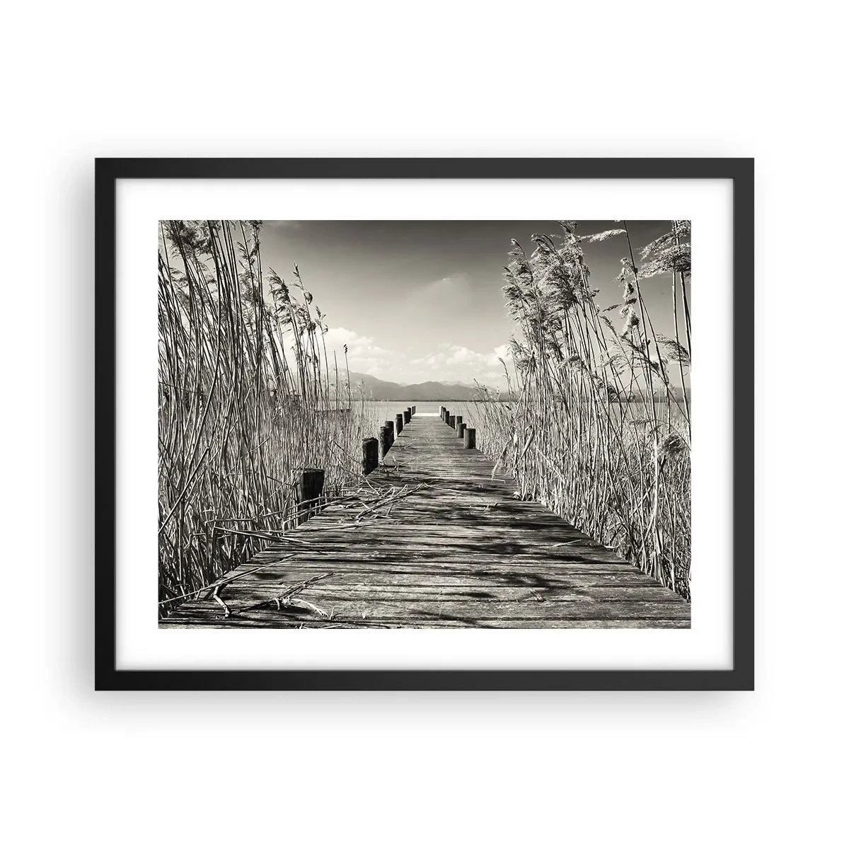 Poster in einem schwarzem Rahmen - In der Stille des Grases - 50x40 cm