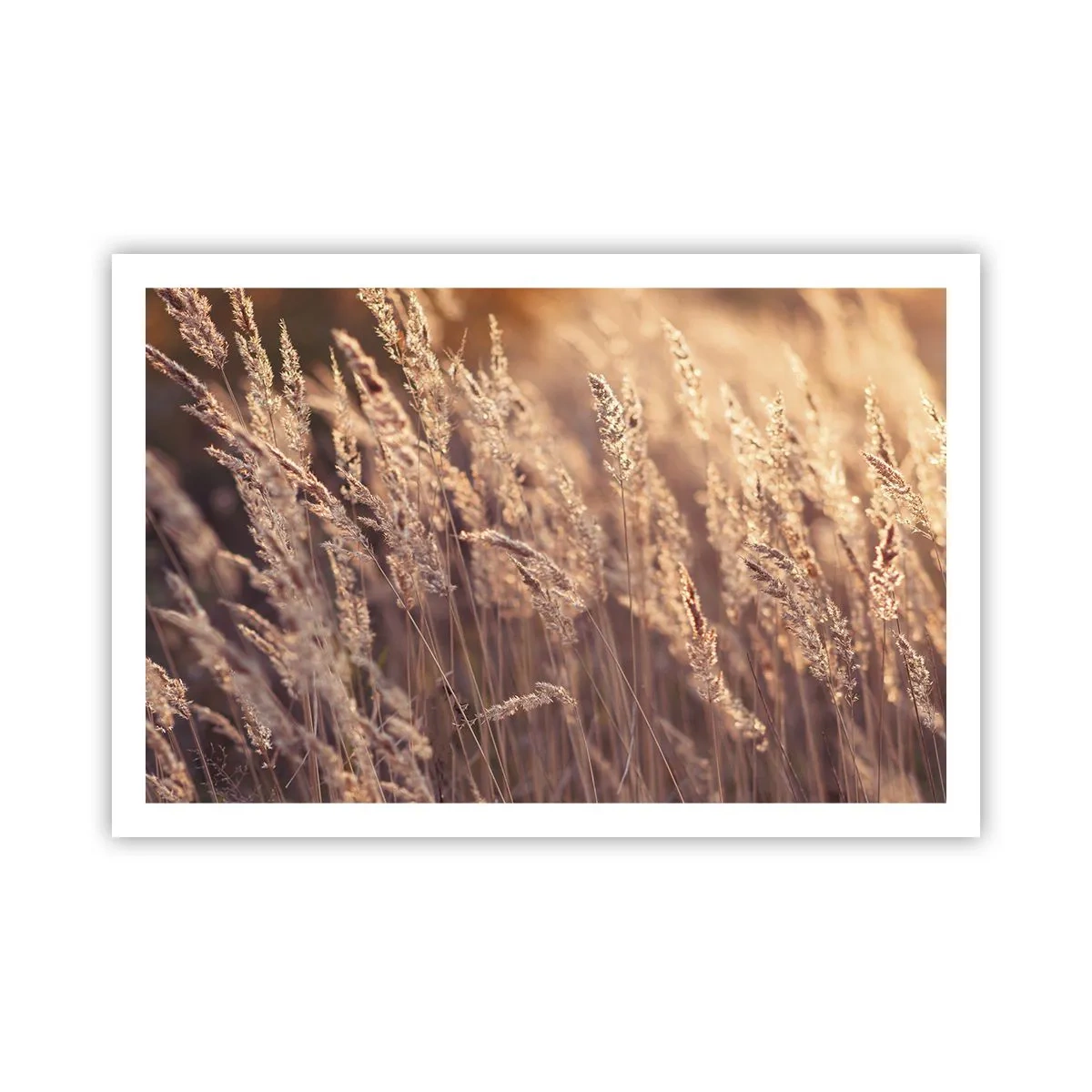 Poster - Bereit, den Herbst willkommen zu heißen - 91x61 cm