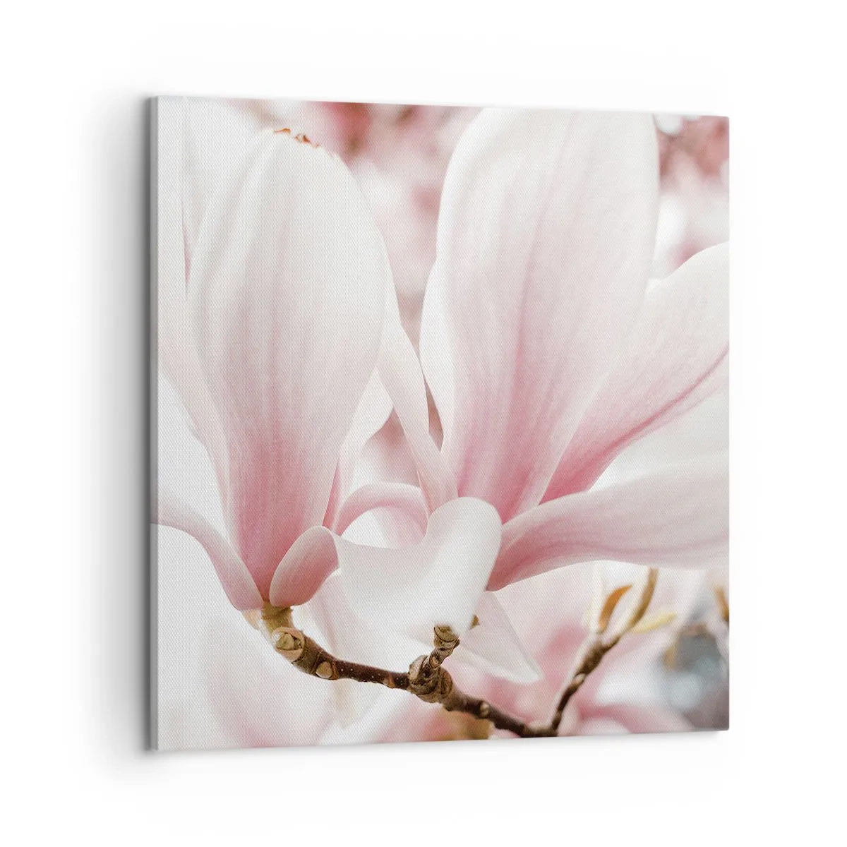 Bild auf Leinwand - Leinwandbild - Eine Fülle von Zärtlichkeit - 60x60 cm