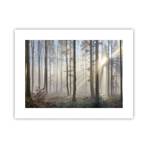 Poster - Der Nebel ist auch aufgewacht - 40x30 cm