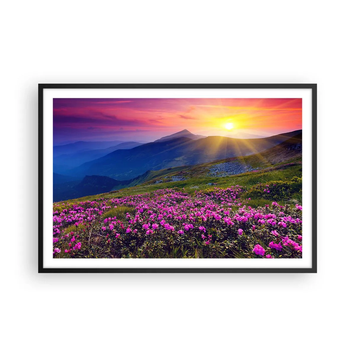 Poster in einem schwarzem Rahmen - … Und drumherum duftet es nach Latschenkiefer und dem Duft von Kräutern - 91x61 cm