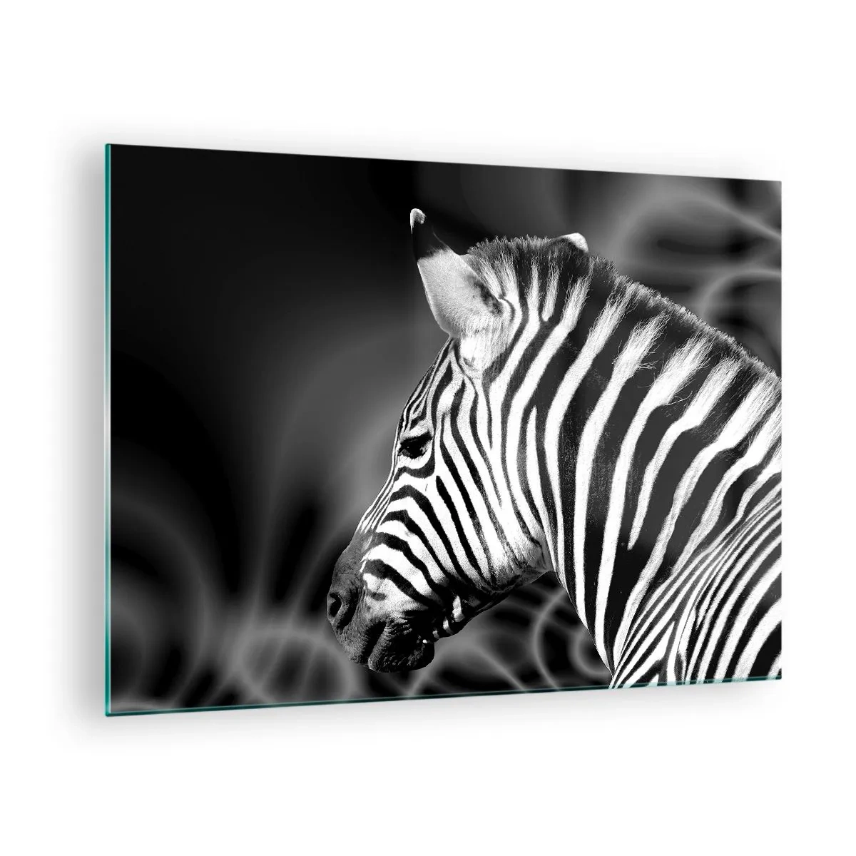 Glasbild - Bild auf glas - Zebra in Schwarz-Weiß-Ästhetik - 70x50cm - Weiß ist weiß und schwarz ist schwarz - Moderne Wanddekoration für Wohnzimmer und Schlafzimmer ARTTOR