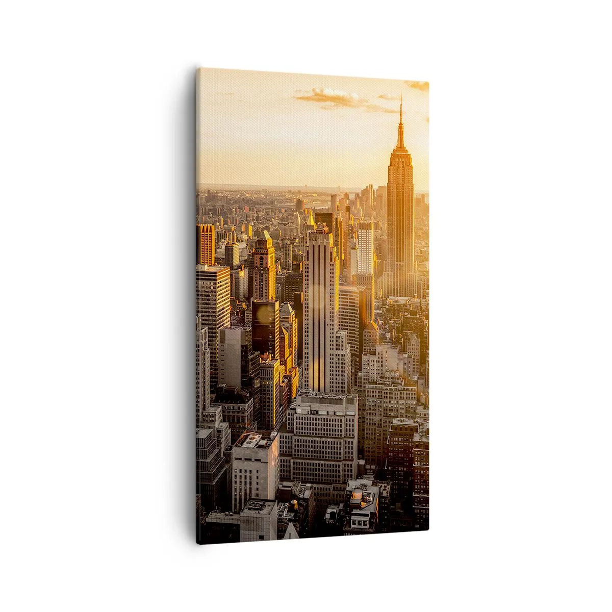 Bild auf Leinwand - Leinwandbild - In der Sonne wachsen - 55x100 cm