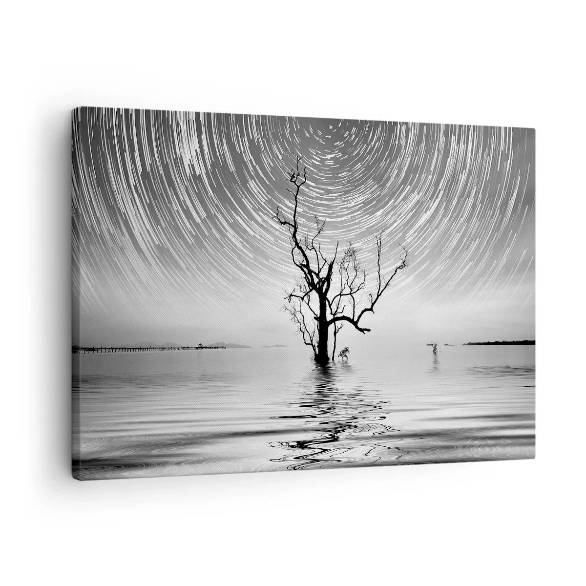 Bild auf Leinwand - Leinwandbild - Ein Baum im Wasser unter einem Nachthimmel mit sich bewegenden Sternen - 70x50cm - Eine Sinfonie der Natur - Moderne Wanddekoration für Wohnzimmer und Schlafzimmer ARTTOR