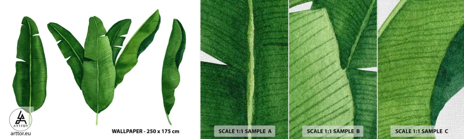 Fototapeten Muster Premium Canvas - Grüne Symmetrie - Bananenblatt, Tropisch, Botanischer Stil - 100x30 cm