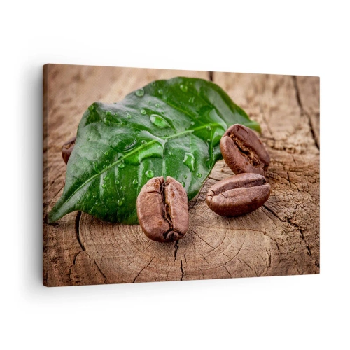 Bild auf Leinwand - Leinwandbild - Kaffeebohnen und grünes Blatt auf einem hölzernen Hintergrund - 70x50cm - Der wahrste und schwarze - Moderne Wanddekoration für Wohnzimmer und Schlafzimmer ARTTOR