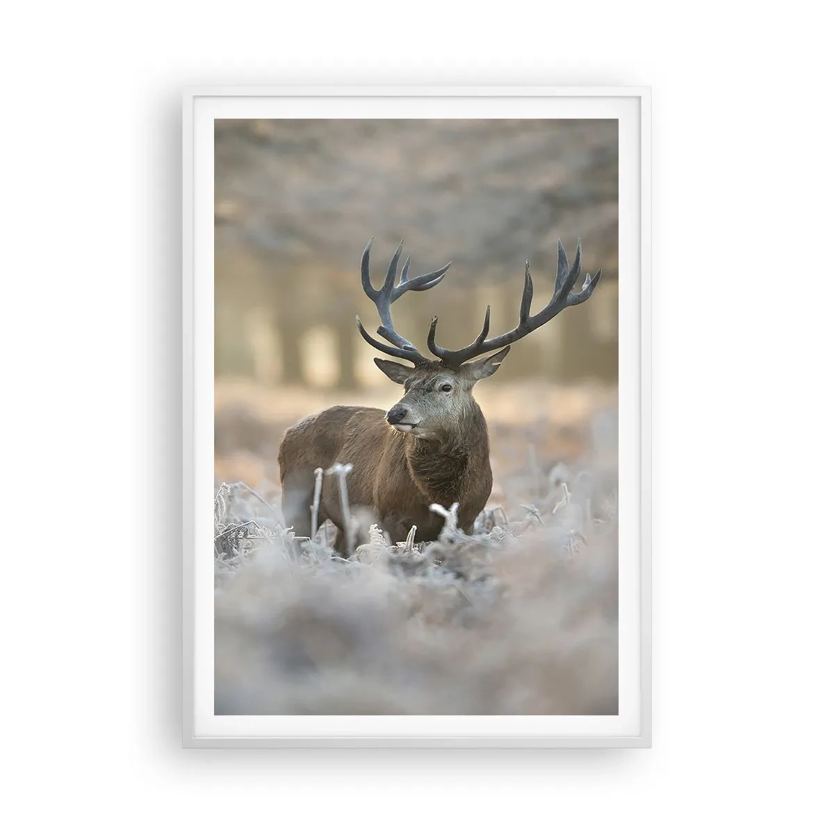 Poster in einem weißen Rahmen - Ein flotter Morgen - 70x100 cm