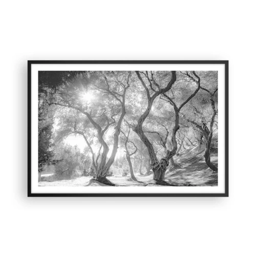 Poster in einem schwarzem Rahmen - Im Olivenhain - 91x61 cm