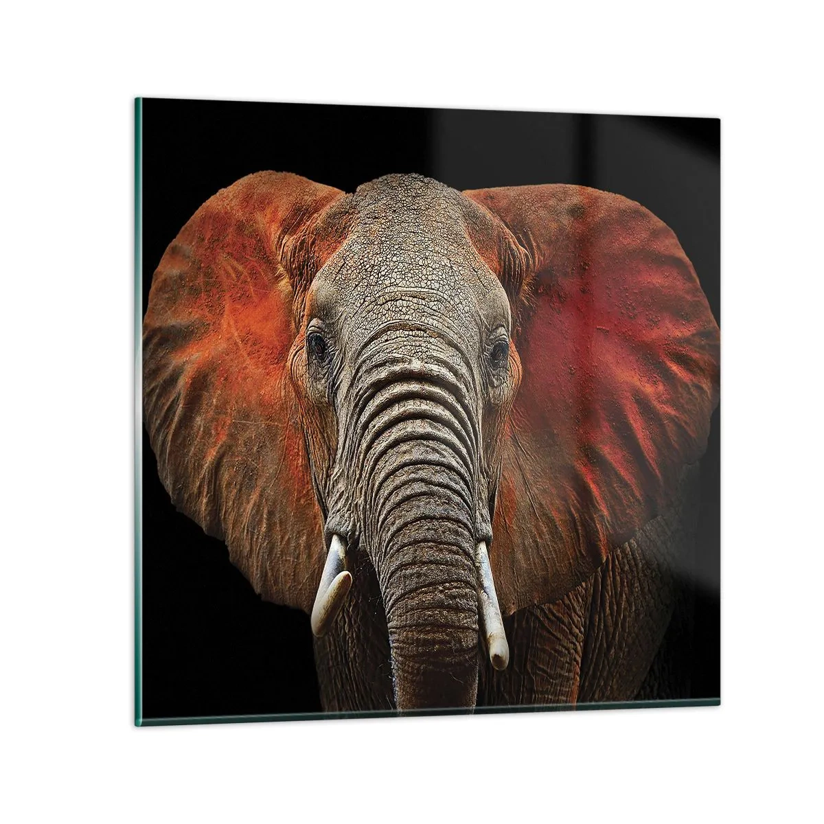 Glasbild - Bild auf glas - Ich bin wild und du? - 70x70 cm