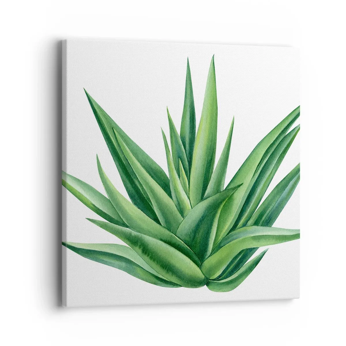 Bild auf Leinwand - Leinwandbild - Grün – Kraft – Leben - 40x40 cm