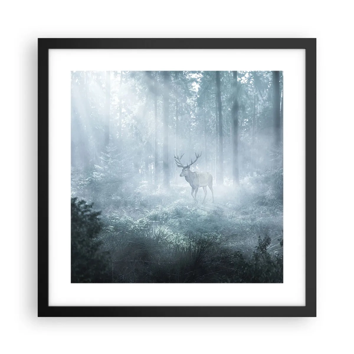 Poster in einem schwarzem Rahmen - Morgenvisite auf dem Grundstück - 40x40 cm