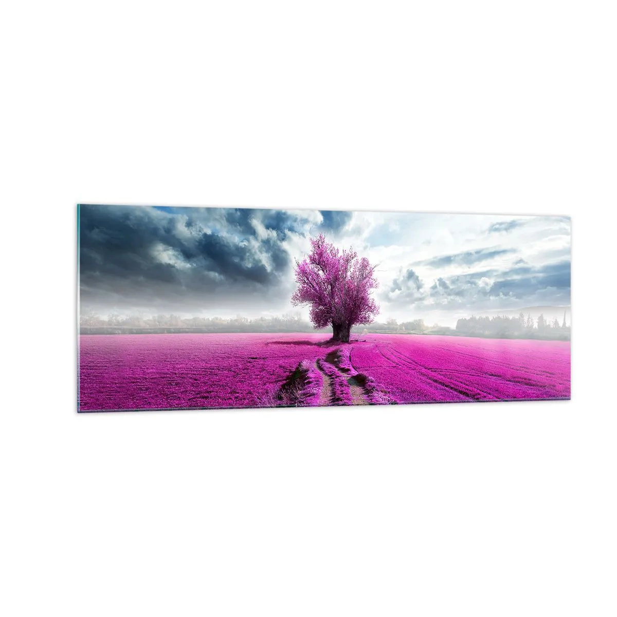 Glasbild - Bild auf glas - Ein einsamer Baum auf einem Feld in einem intensiven Rosaton - 140x50cm - Heide - Wildnis - Moderne Wanddekoration für Wohnzimmer und Schlafzimmer ARTTOR