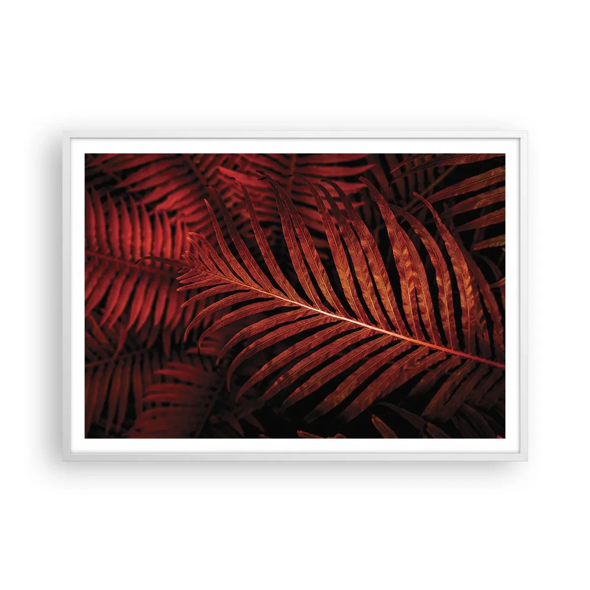 Poster in einem weißen Rahmen - Die Hitze des Lebens - 100x70 cm