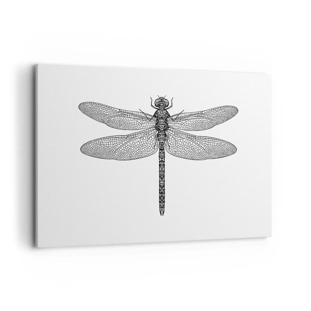 Bild auf Leinwand - Leinwandbild - Schwarz-weiße Zeichnung einer Libelle auf weißem Hintergrund im minimalistischen Stil - 100x70cm - Präzision der Natur - Moderne Wanddekoration für Wohnzimmer und Schlafzimmer ARTTOR