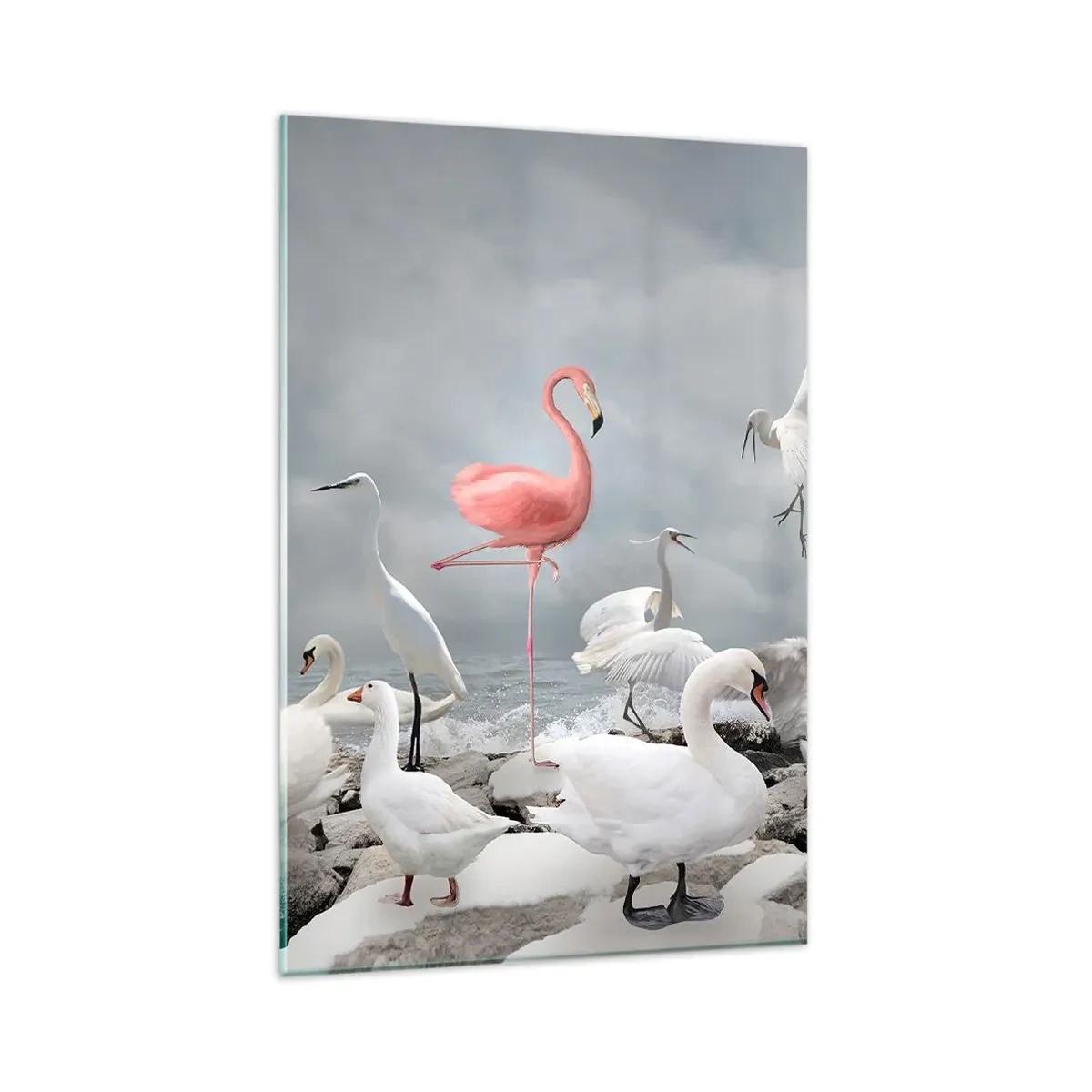 Glasbild - Bild auf glas - Ein rosa Flamingo zwischen weißen Schwänen vor der Kulisse eines Sees - 80x120cm - Wie kam ich hier hin? - Moderne Wanddekoration für Wohnzimmer und Schlafzimmer ARTTOR