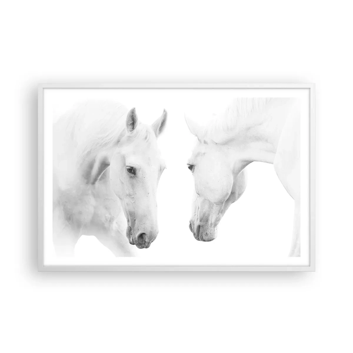 Poster in einem weißen Rahmen - Ist das Freundschaft...? - 91x61 cm