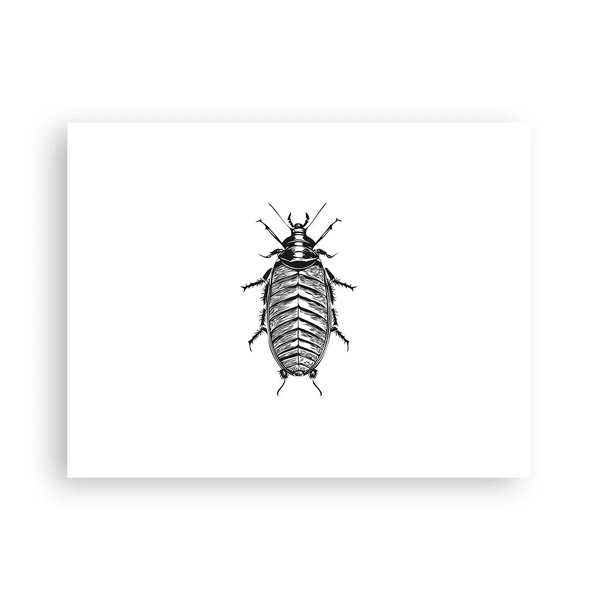 Poster - Was für ein Exemplar! - 40x30 cm