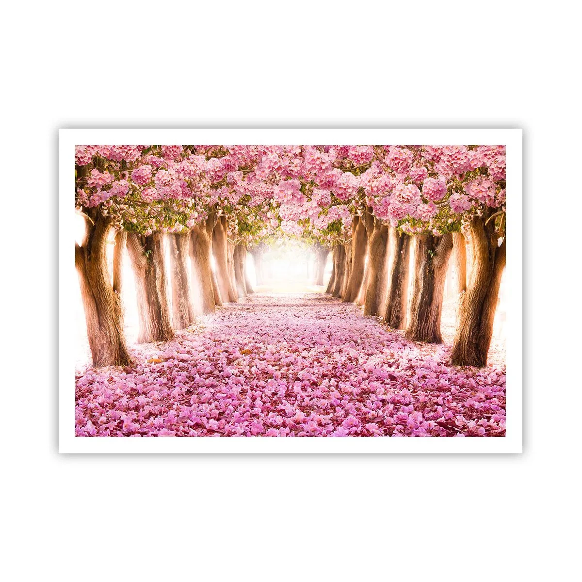Poster - Eine Allee blühender Bäume in Rosatönen - 100x70cm - Der Weg ins Paradies - Moderne Wanddekoration für Wohnzimmer und Schlafzimmer ARTTOR