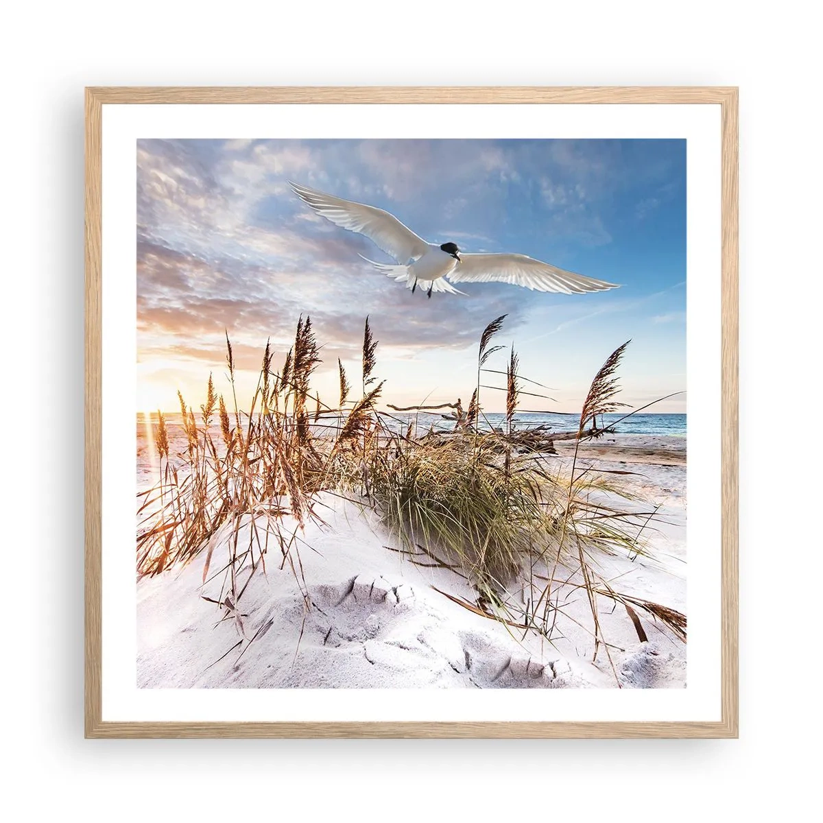 Poster in einem Rahmen aus heller Eiche - Wind vom Meer - 60x60 cm