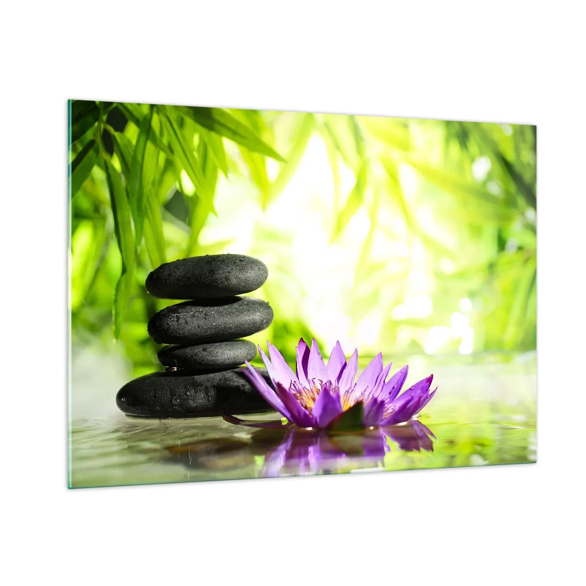 Glasbild - Bild auf glas - Lila Lotusblüte mit Zen-Steinen auf grünem Hintergrund - 100x70cm - In einem Bambusbusch - Moderne Wanddekoration für Wohnzimmer und Schlafzimmer ARTTOR