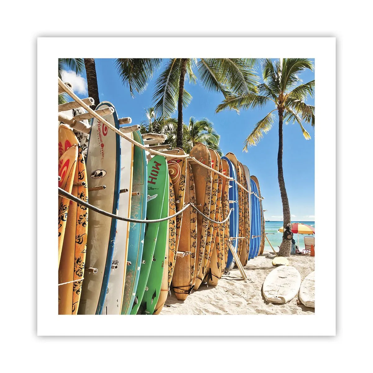 Poster - Sonniger Spaß - 50x50 cm