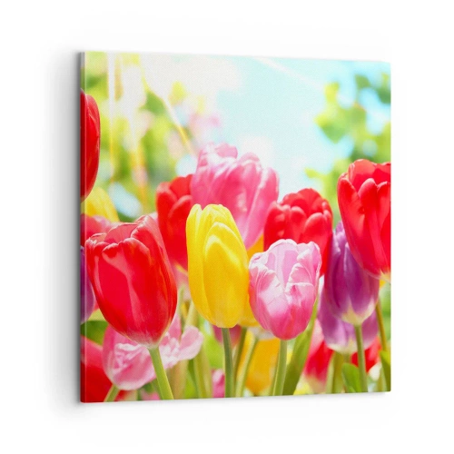 Bild auf Leinwand - Leinwandbild - Wir sind es, die Farben des Mais! - 60x60 cm