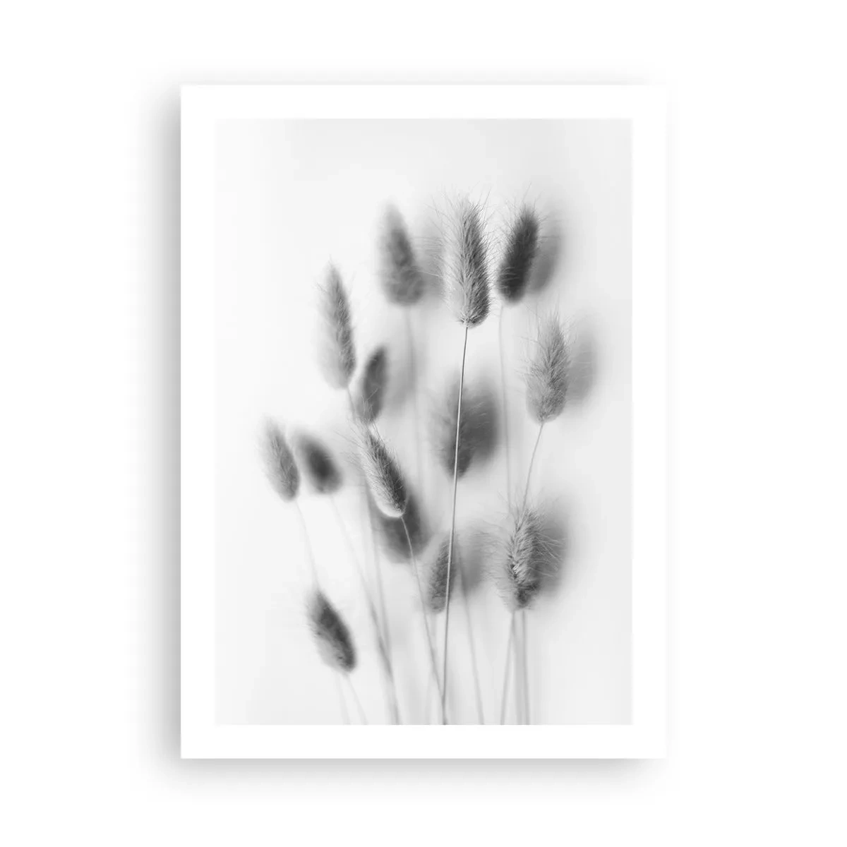 Poster - Schwarz-weiße flauschige Grashalme - 50x70cm - Eure flauschige Grashoheit - Moderne Wanddekoration für Wohnzimmer und Schlafzimmer ARTTOR