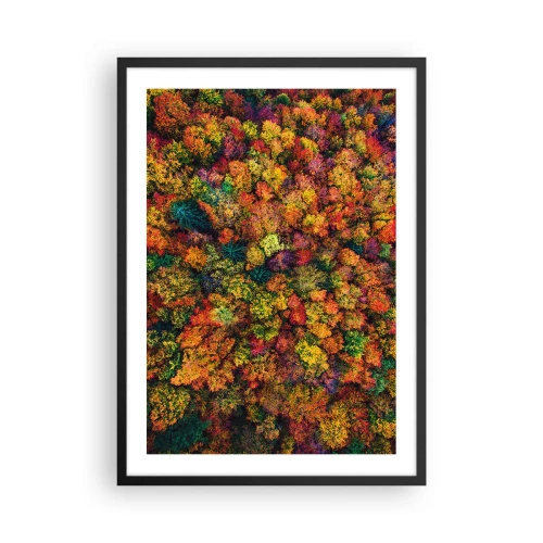 Poster in einem schwarzem Rahmen - Ein farbenfroher Wald aus der Vogelperspektive in seiner herbstlichen Farbpalette - 50x70cm - Blumenstrauß aus Herbstbäumen - Moderne Wanddekoration für Wohnzimmer und Schlafzimmer ARTTOR