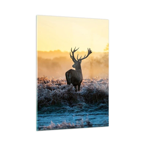 Glasbild - Bild auf glas - Hirsch an einem frostigen Morgen mit dem Sonnenaufgang im Hintergrund - 50x70cm - Gekrönt auf seinem Besitz - Moderne Wanddekoration für Wohnzimmer und Schlafzimmer ARTTOR