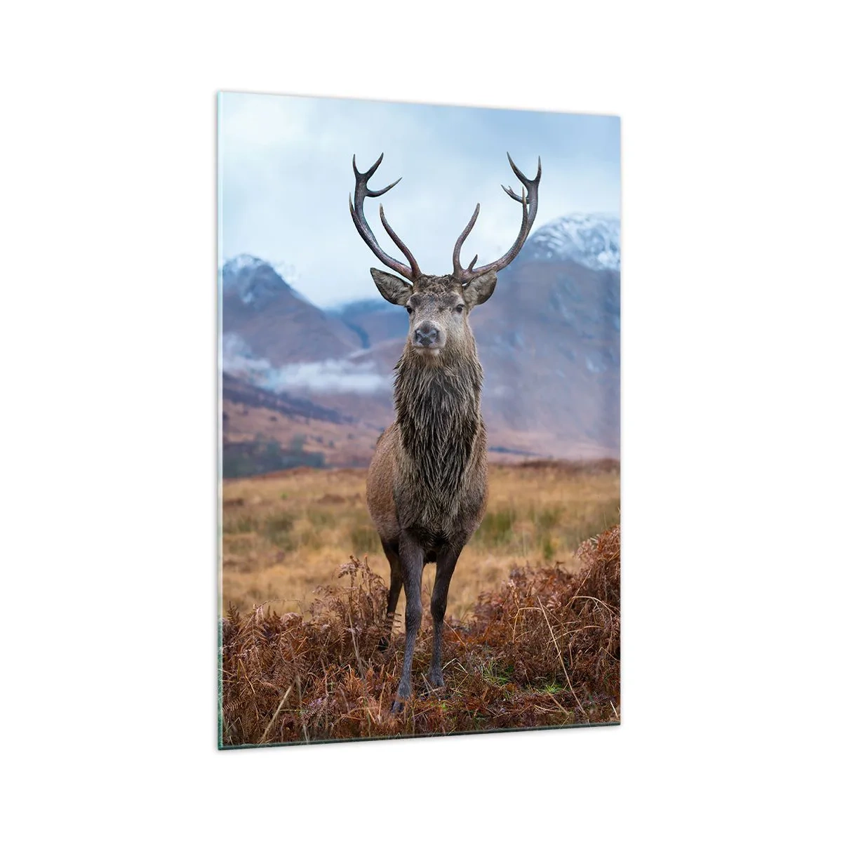 Glasbild - Bild auf glas - Auf eigenem Land - 70x100 cm