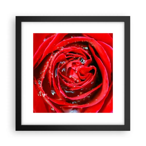 Poster in einem schwarzem Rahmen - In den Tautropfen - 30x30 cm