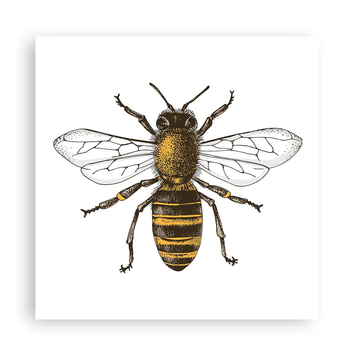 Poster - Schön und gut - 60x60 cm